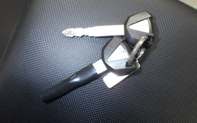 KAWASAKI NINJA 1000 SX 2022 ZXT02K