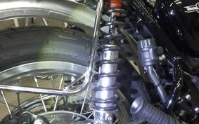 KAWASAKI W800 2025 EJ800E