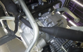 HONDA C110LITE 2002 JA76