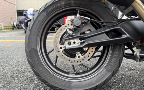 TRIUMPH TIGER 900GT PRO 2024 TRC82D