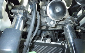 KAWASAKI NINJA 400 2021 EX400G