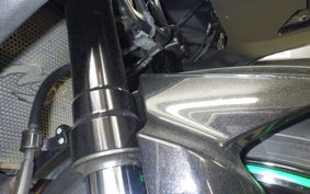 KAWASAKI NINJA 1000 A 2015