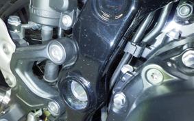 KAWASAKI Z900RS 2023 ZR900K