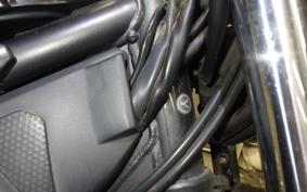 YAMAHA TRICKER DG10J