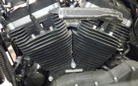 HARLEY XL883N 2010