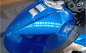 KAWASAKI NINJA 250 EX250P