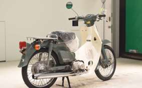 HONDA C50 SUPER CUB 2019 C50
