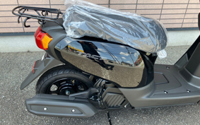 HONDA  TACT  BASIC  AF79