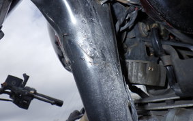 KAWASAKI ESTRELLA RS BJ250A