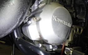 KAWASAKI KDX220SR 2021 DX220B