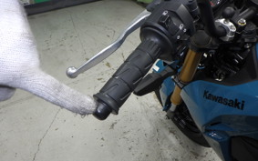 KAWASAKI Z125 PRO 2024 BR125H