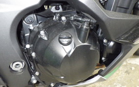 KAWASAKI NINJA 1000 SX 2023 ZXT02K