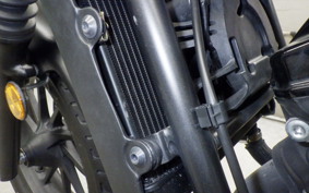 HONDA REBEL 250 A 2006 MC49