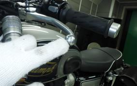 TRIUMPH BONNEVILLE T100 2025