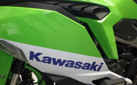 KAWASAKI ZX-4RR 2024 ZX400P