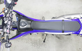YAMAHA WR250R 2018 DG15J