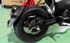 OTHER CFMOTO XO-1 PAPIO