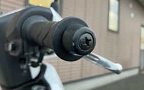 HONDA  TACT  BASIC  AF79