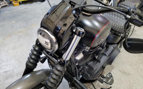 HARLEY FXBB 2019 YJJ