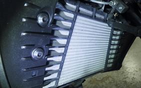 YAMAHA MT-25 A RG43J