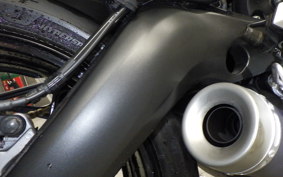 YAMAHA XSR900 2019 RN56J