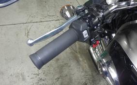 KAWASAKI W800 2024 EJ800E