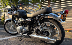 KAWASAKI W800 2024 EJ800E