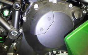 KAWASAKI NINJA H2 SX 2023 ZXT02P