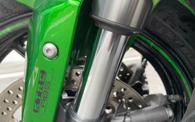 KAWASAKI NINJA 1000SX 2023 ZXT02K