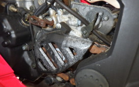 OTHER +ﾒｶﾞﾘ250R