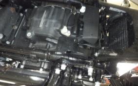 HARLEY FLTRXSE1920CVO 2021
