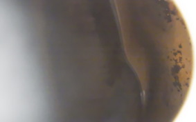 KAWASAKI VULCAN 1500 CLASSIC 2001 VNT50J