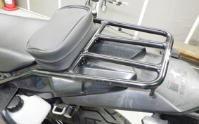 KAWASAKI KLX250D TRACKER X 2025 LX250V