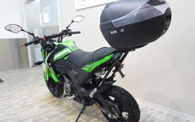 KAWASAKI Z125 PRO BR125H