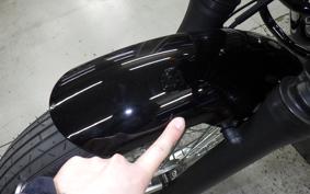 KAWASAKI W800 STREET 2021 EJ800E