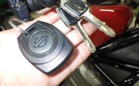 HARLEY RH975 2025