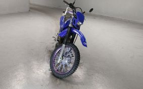 YAMAHA TT250R 4GY