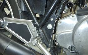 KAWASAKI Z250 Limited 2022 KZ250H