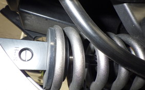 KAWASAKI NINJA 1000 SX 2023 ZXT02K