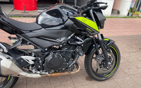 KAWASAKI Z250 EX250P