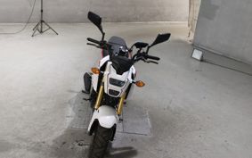 HONDA GU ROM JC75