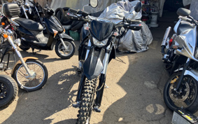 KAWASAKI KLX250 LX250S