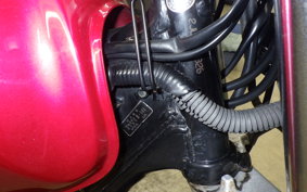 YAMAHA TW200 2021 2JL