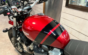TRIUMPH SCRAMBLER 2022 DAD78G