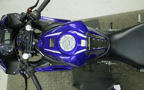 YAMAHA YZF-R25 2024 RG10J