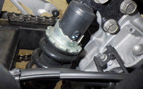 KAWASAKI NINJA 250 2023 EX250P