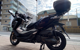 HONDA FORZA 250 MF13