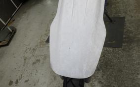 YAMAHA TT250R 2024 4GY