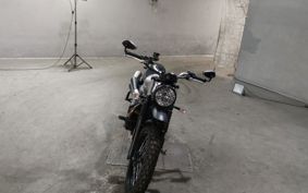 TRIUMPH  TRIUMPH  STREET  SCRAMBLER  2021 DAD78G