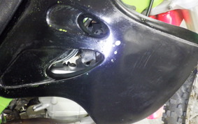 KAWASAKI KLX250 LX250E
